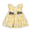 lemon 2